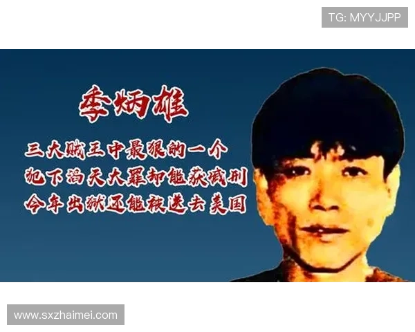 还贼王归来之谜揭开传奇英雄重回江湖挑战势力纷争 还贼王归来之谜揭开传奇英雄重回江湖挑战势力纷争