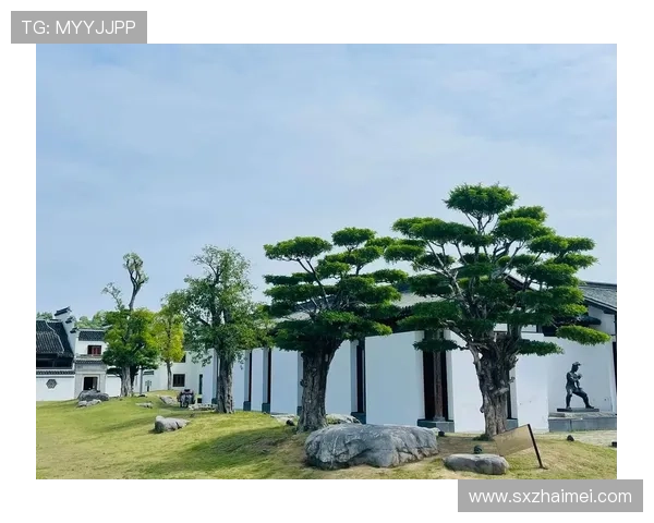 利家与松:家族传承的坚韧与生机