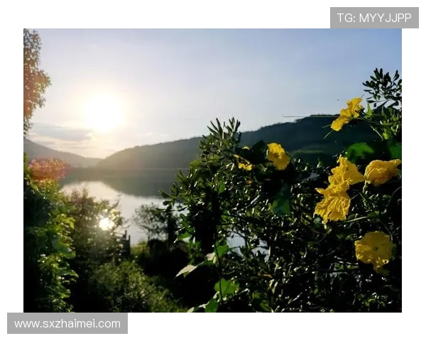 《房车奇遇：驶向未知，点燃生活的无限可能》