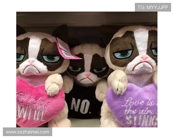 不爽猫：当“丧”成为一种潮流，她如何征服世界？