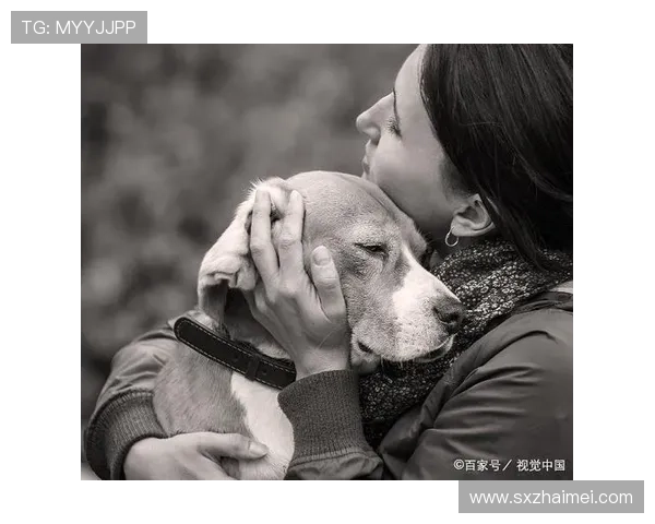 仁显：一场穿越时空的温柔相遇